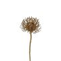 Künstliche Blume Nadelkissen Protea SONDYL, gold, 50cm