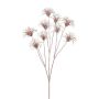Deko Clematis Samenstand HARWAY, rosa-gold, 70cm, Ø7cm