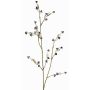 Deko Zweig Stirlingia latifolia COLLAN, schwarz-weiß, 75cm, Ø1cm