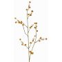 Deko Zweig Stirlingia latifolia COLLAN, orange-grün, 75cm, Ø1cm