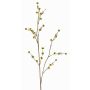 Deko Zweig Stirlingia latifolia COLLAN, gelb-grün, 75cm, Ø1cm