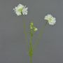 Kunst Scabiosa ANDIA, weiß, 80cm, Ø8-10cm