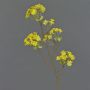 Künstlicher Ahorn Zweig ALHENA mit Blüten, gelb, 70cm, Ø5-9cm