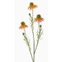 Kunst Sonnenhut Zweig CELIO, aprikose, 70cm, Ø6-7cm