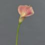 Calla Kunstblume MIRAC, rosa-gelb, 75cm, 12x15cm
