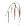 Dekozweig Amaranthus YAELLE mit Blüten, hängend, dunkelrot, 140cm