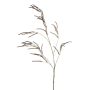 Kunst Zweig Amaranth CERRO mit Blüten, braun, 100cm