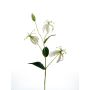 Kunstzweig Gloriosa JARENIA, weiß, 80cm