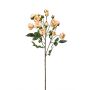 Künstliche Blume Rosenzweig TOSSA, aprikose, 60cm, Ø1-4cm
