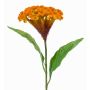 Kunstblume Hahnenkamm ANUBIS, gelb-orange, 60cm, Ø14cm