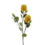 Künstliche Blume Banksia robur CONAKIR, gelb, 70cm
