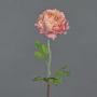Ranunkel künstlich ELORIO, rosa-creme, 50cm, Ø10cm
