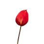 Künstliche Flamingoblume NYVERA, rot, 60cm