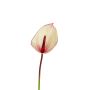 Künstliche Flamingoblume NYVERA, rosa-creme, 60cm