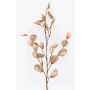 Deko Zweig Lunaria BUELNA, hellbraun, 105cm