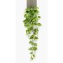 Dekopflanze Philodendron Scandens Hänger RUESCA auf Steckstab, 90cm