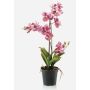 Künstliche Vanda Orchidee CAMPO, rosa-pink, 60cm