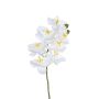 Künstliche Phalaenopsis Orchidee PUNIELA, weiß, 60cm