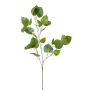 Kunst Ficus religiosa Zweig ASCELLA mit Früchten, grün, 95cm