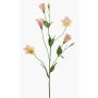Kunstzweig Lisianthus PAZAN, rosa-creme, 70cm, Ø3-5cm