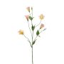 Kunstzweig Lisianthus PAZAN, rosa-creme, 70cm, Ø3-5cm