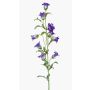 Blume künstlich Glockenblume AIMI, dunkellila-weiß, 90cm, Ø3-5cm