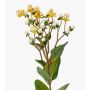 Künstlicher Zweig Johanniskraut CANNO mit Blüten, Früchte, gelb-weiß, 65cm, Ø3cm