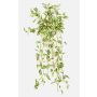 Fake Pflanze Tradescantia zebrina DIHALLO auf Steckstab, hängend, grün-weiß, 70cm