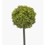 Kunstblume Allium TUXLON, grün, 75cm