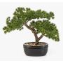 Künstliche Bonsai Pinie KANYA in Pflanzschale, 25cm