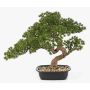 Künstliche Bonsai Pinie KANYA in Pflanzschale, 45cm