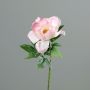 Kunstblume Pfingstrose GILUMINA, weiß-rosa, 55cm