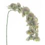 Kunstblume Phalaenopsis Orchidee KORAYA, grün-violett, 110cm