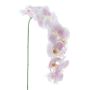 Kunstblume Phalaenopsis Orchidee KORAYA, hellrosa-weiß, 110cm