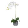 Künstliche Blume Phalaenopsis Orchidee TALERISSA, Wurzeln, Dekotopf, weiß, 50cm