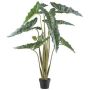 Deko Pflanze Alocasia Sanderiana NARLO, Dekotopf, grün, 130cm