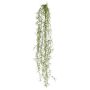 Deko Sukkulente Tillandsia usneoides BLIMFY, Steckstab, hängend, dunkelgrün, 80cm