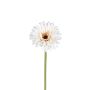 Kunstblume Gerbera TYLORA, weiß-beige, 60cm