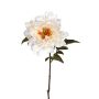 Dekoblume Pfingstrose ABIENAS, creme, 60cm