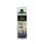 OASIS® Farbspray Aqua Colour Spray, wasserbasiert, helles moosgrün, 400ml