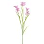 Kunstzweig Glockenblume FLAVRON, rosa, 60cm