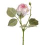 Deko Blume Rose ZORKLIN, rosa-creme, 45cm, Ø6,5cm