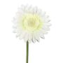 Kunstblume Gerbera TUNZA, creme, 50cm