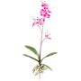 Deko Phalaenopsis Orchidee MALZA, Steckstab, Wurzeln, cerise, 55cm