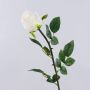 Künstliche Rose SUNJIK, creme, 75cm, Ø7cm