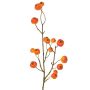 Deko Zweig Zierapfel NONGIH mit Früchten, orange, 60cm