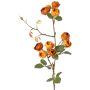 Unechter Kohl-Rosen Zweig LORRAINE, Eco Collection, gelb-orange, 60cm, Ø3cm