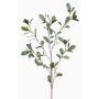 Deko Zweig Eukalyptus MERKAN, grün-grau, 90cm