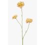 Kunstzweig Scabiosa DIHALLY, gelb-pfirsich, 80cm, Ø8-9cm