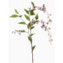 Deko Zweig Jasmin LIMORK, hängend, lila, 125cm